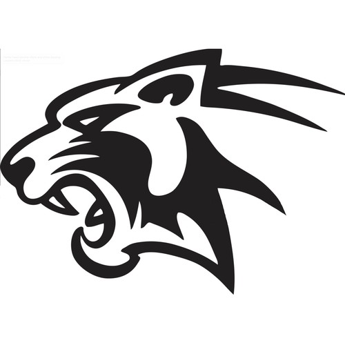 panther mascot
