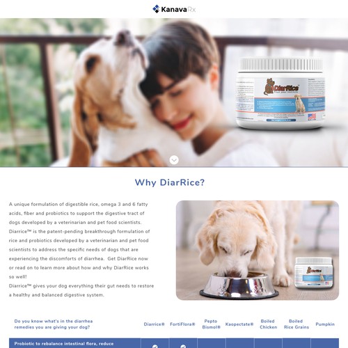 Web Design Landing Page for Dog Probiotic DiarRice