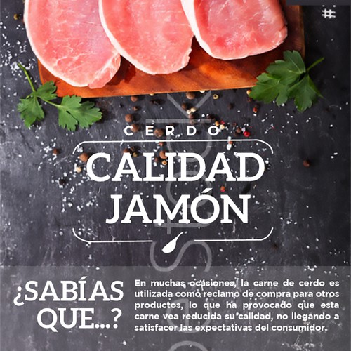 CALIDAD JAMÓN