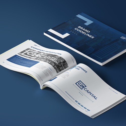 Brand Guide for financial firm.