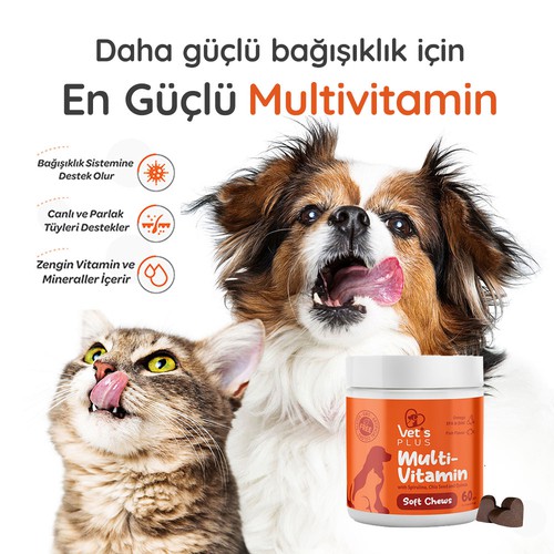 Petshop Post Design