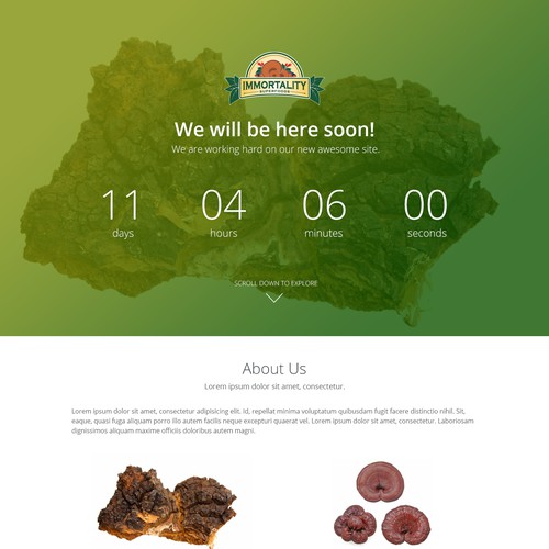 Countdown Landing Page