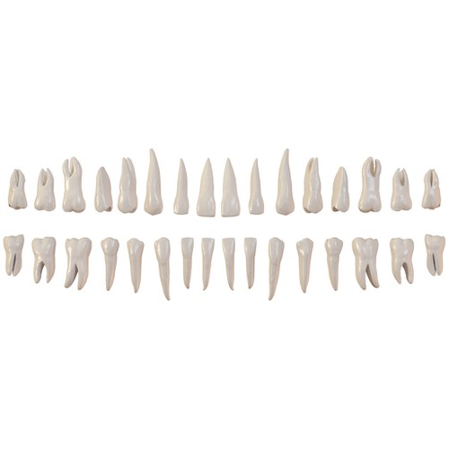 Images used for a dental application