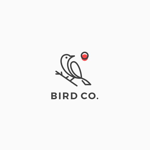 Bird Co.