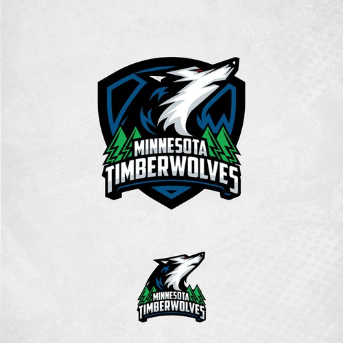 proposals for Minnesota Timberwolves