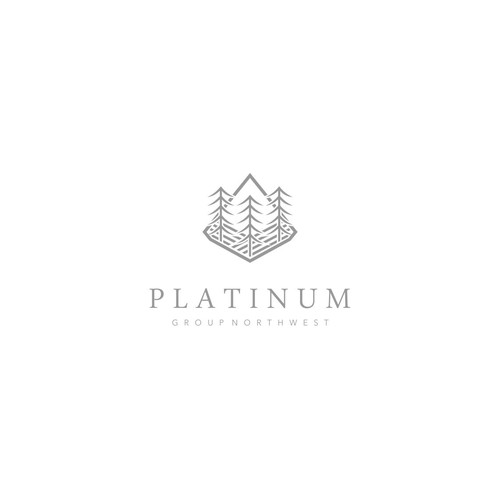 Platinum Group Development Logo Design