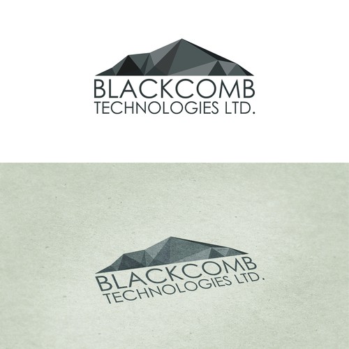 Blackcomb Technologies Ltd.