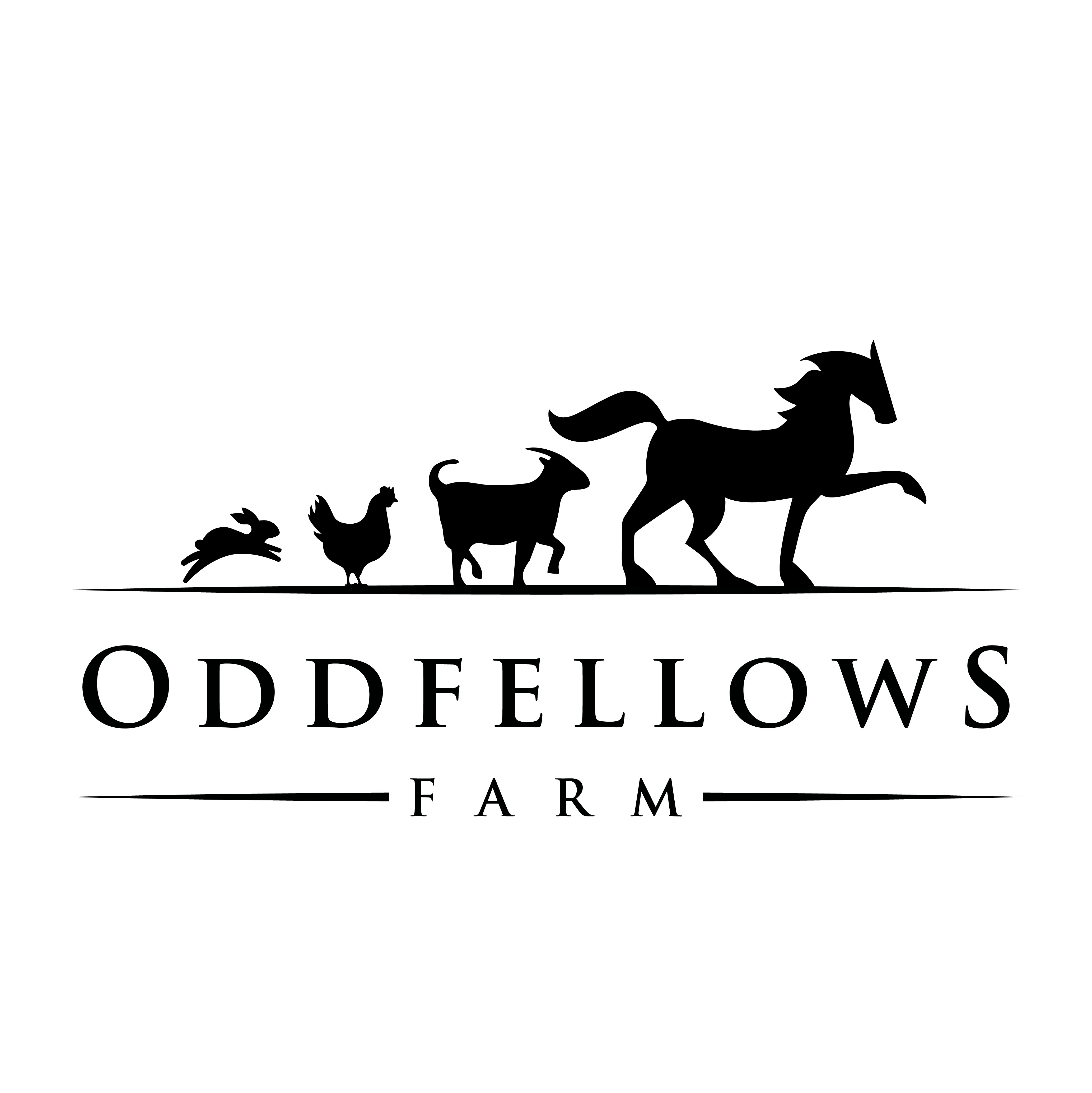 New therapeutic equine program needs a welcoming logo