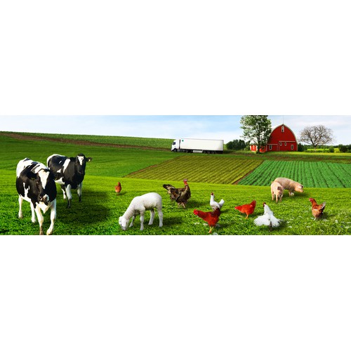 animals on farm for website banner