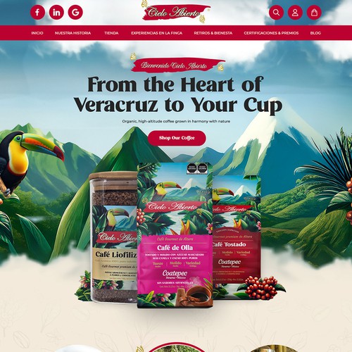 Coffee Production Company Web Design