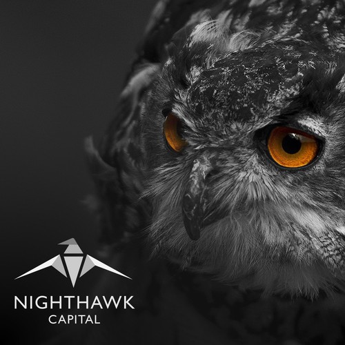 Logo for Venture Capitalists