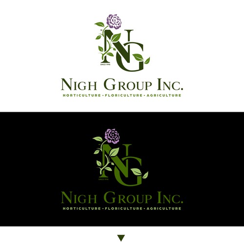 Nigh Group Inc. 