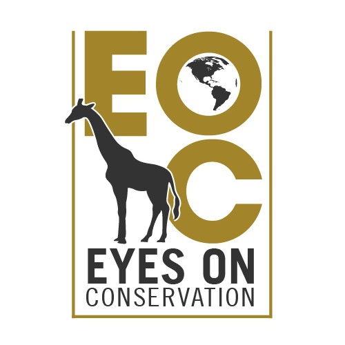 Create a logo design for a wildlife conservation non-profit