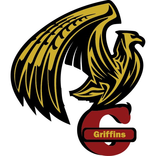  Rebrand the Washington Redskins 