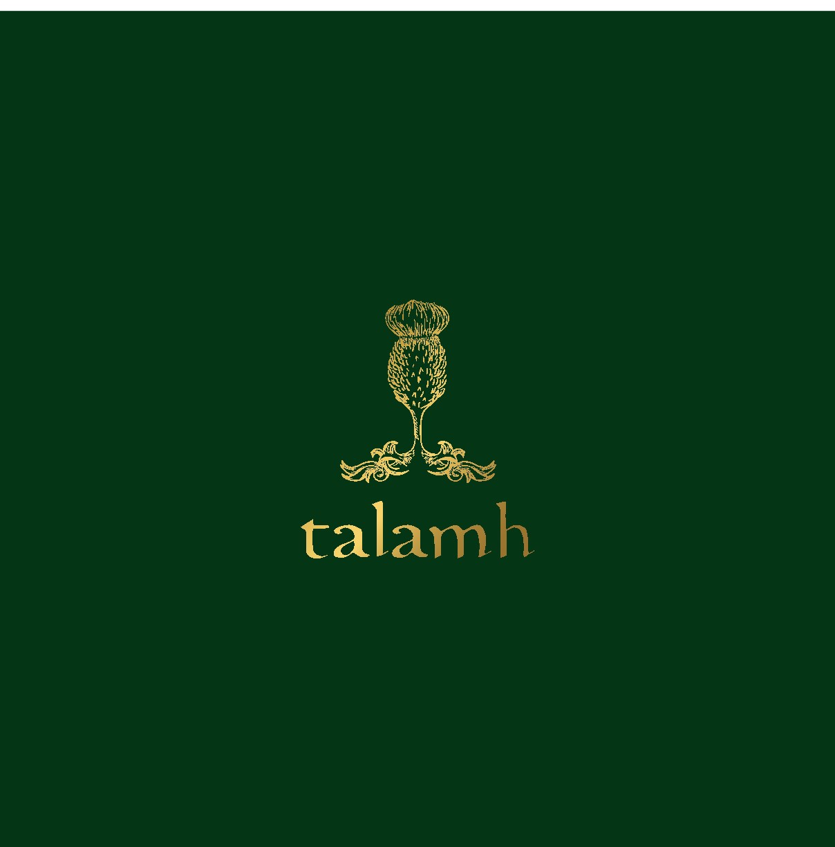 Talamh