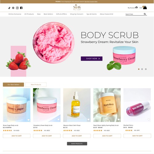 Web Design Proposed for Sias