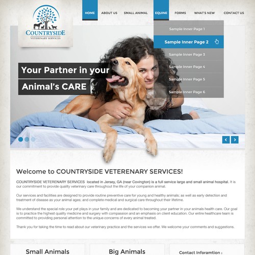 Create the next landing page for Countryside Veterinary Services