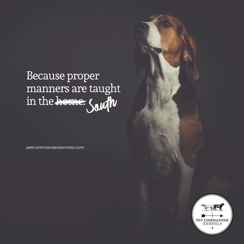 Dog Training Poster Design
