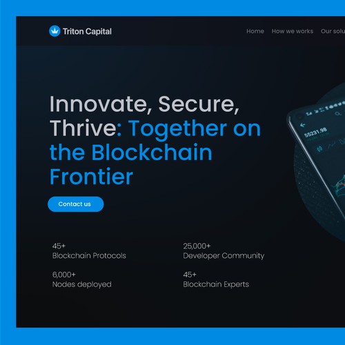 Triton Capital - Brand Identity Design