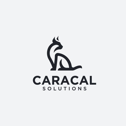 Caracal Solutions