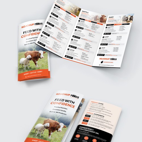 Trifold Brochure
