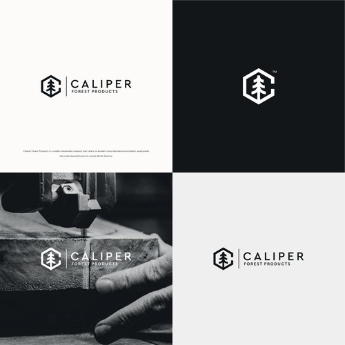 Logo Design for Caliper Forest Products