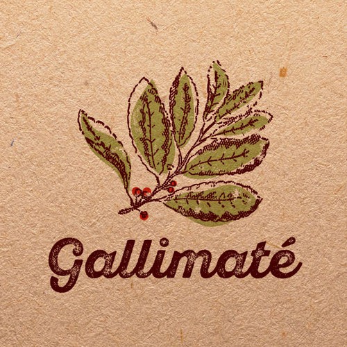Logo concept for Gallimaté