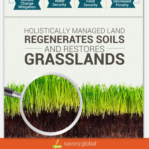 Savory Global Infographic