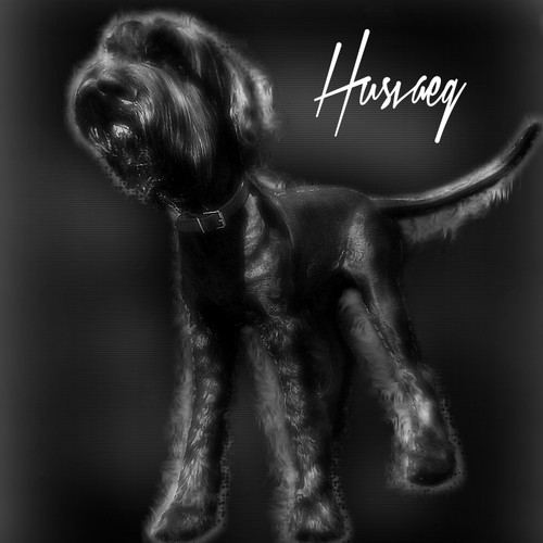 illustration of a dog