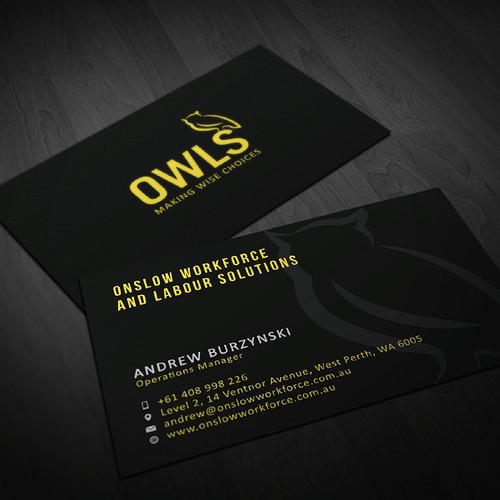 Create the next logo and business card for OWLS