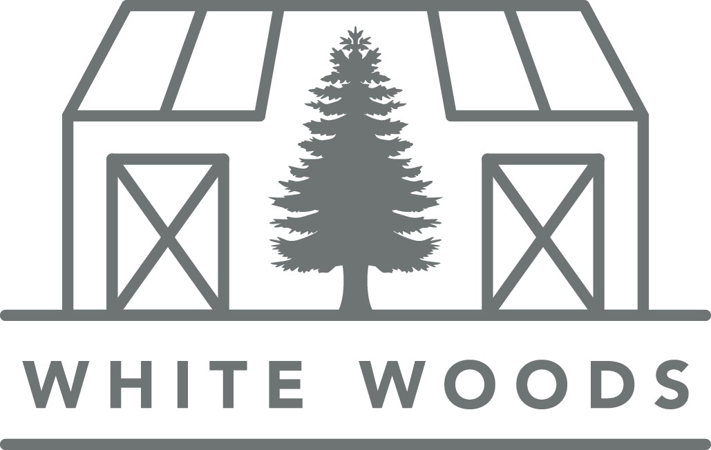Unique Modern Vacation Cabin Logo