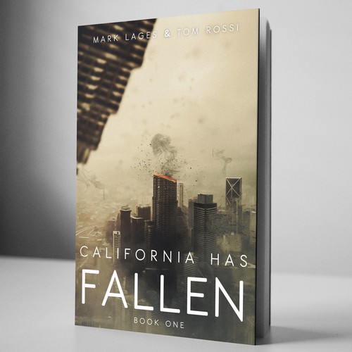 Disaster Novel