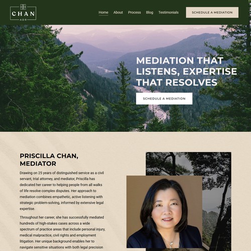 Mediation Website