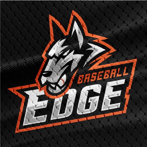EDGE sport logo