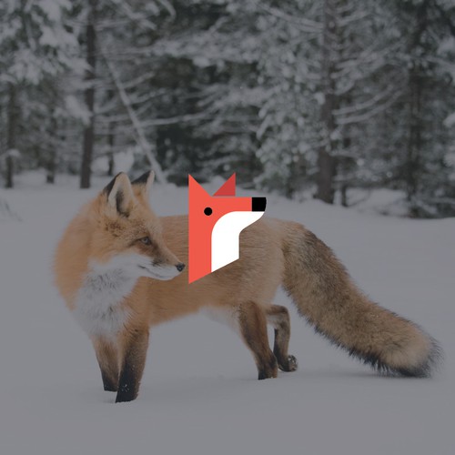 Fox Logo Concept