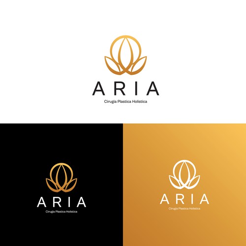 Aria Logo Entry