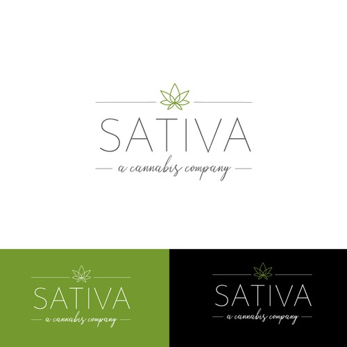 Logo concept for cannabis store