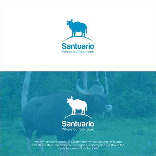 sancturio buffalo