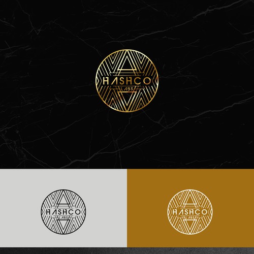 Logo Design Hashco Lab