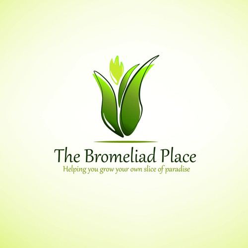The Bromeliad Place needs a new logo
