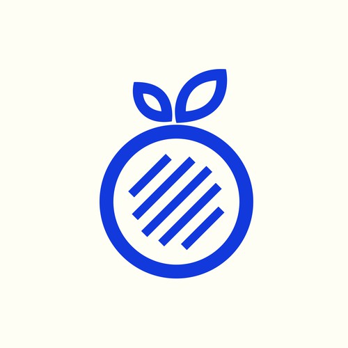 BlueBerry Doc Logo Design