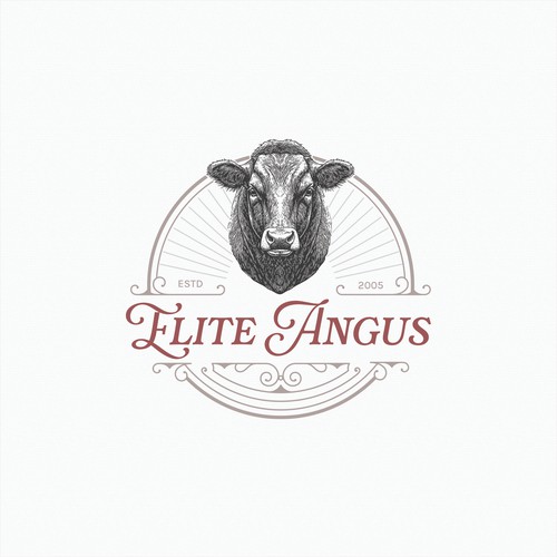 Elite Angus