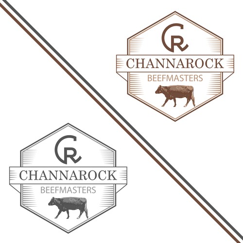 Logo concept for Channarock Beefmasters.