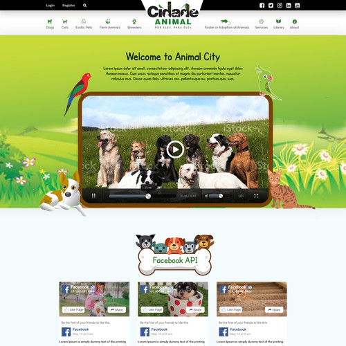 Responsive website design