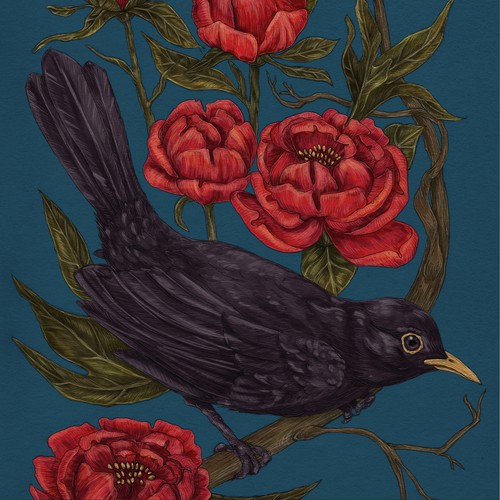Blackbird & Peony, hand-drawn illustration