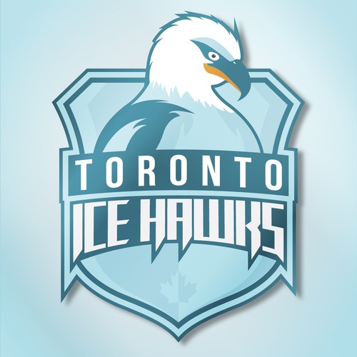 Icy logo for hockey team