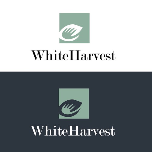 Simple Formal Logo for White Harvest