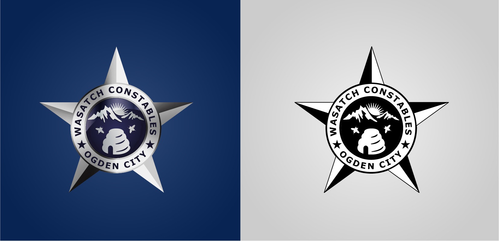 Create a logo for a civil law enforcement agency!