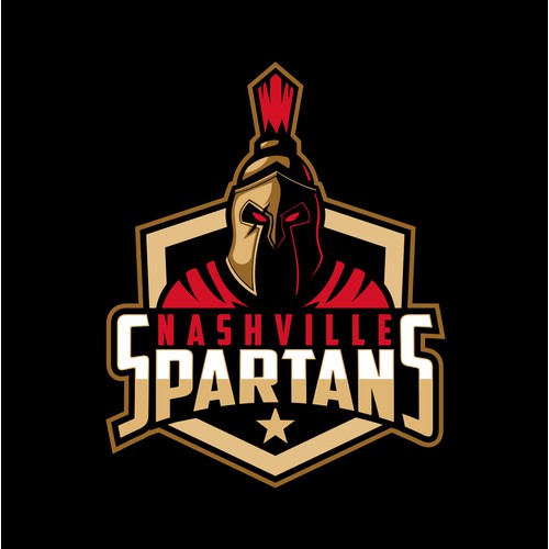 Logo design for professionals hockey team