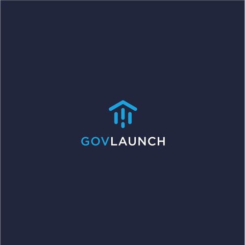 Flat Minimal Logo Design for Government Tech Network